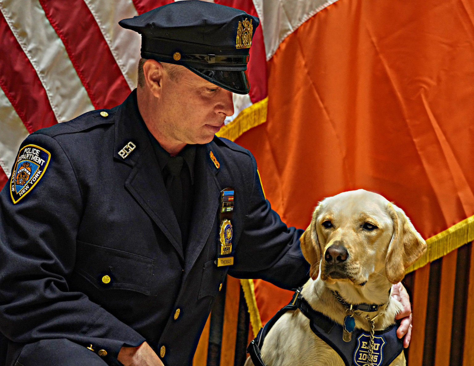 Dog squad A pair of furry NYPD detectives graduate at One Police Plaza