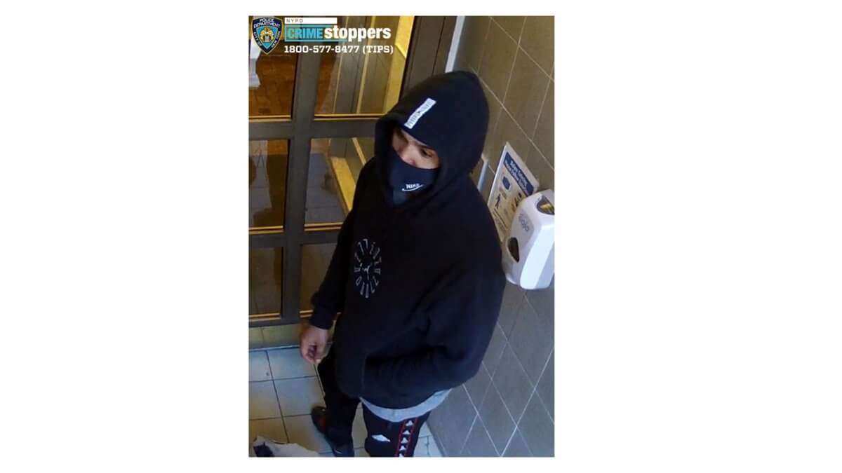 Package thief steals from three Greenwich Village buildings in less than two hours: NYPD 1 Photo 1