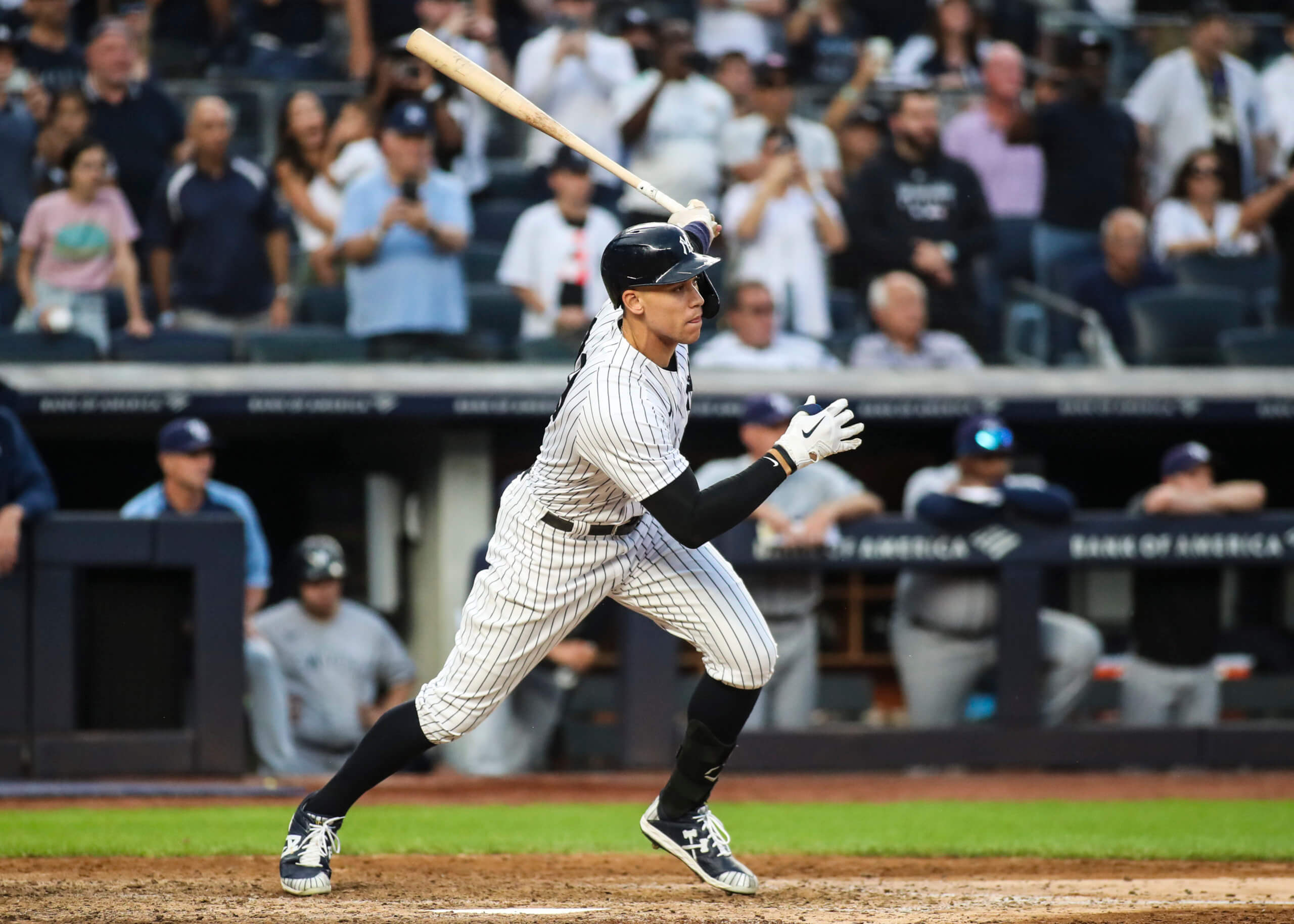 Aaron Judge yankees