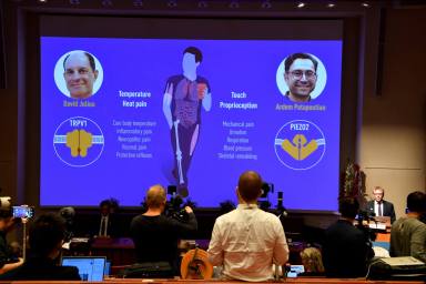 Announcement of 2021 Nobel Prize in Physiology or Medicine