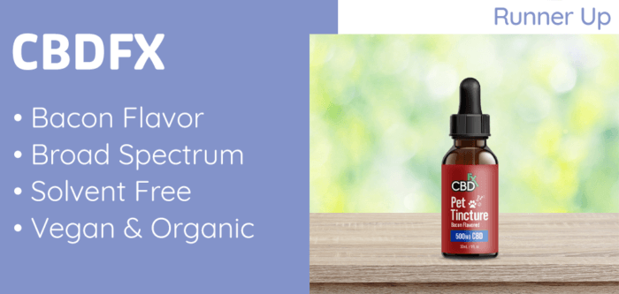 Cbd Oil And Prostate Cancer