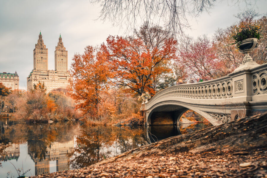 Here are some mustdo activities in Central Park this fall amNewYork