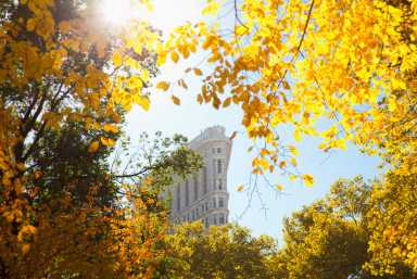 Flatiron Building seen from Madison Square Park