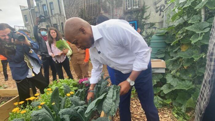 Adams picks greens, talks healthy living in Brownsville 3