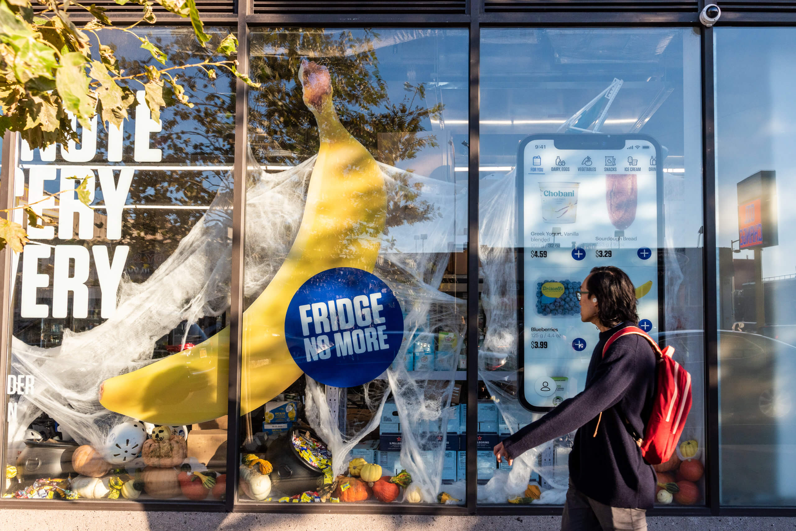 fridge no more grocery delivery