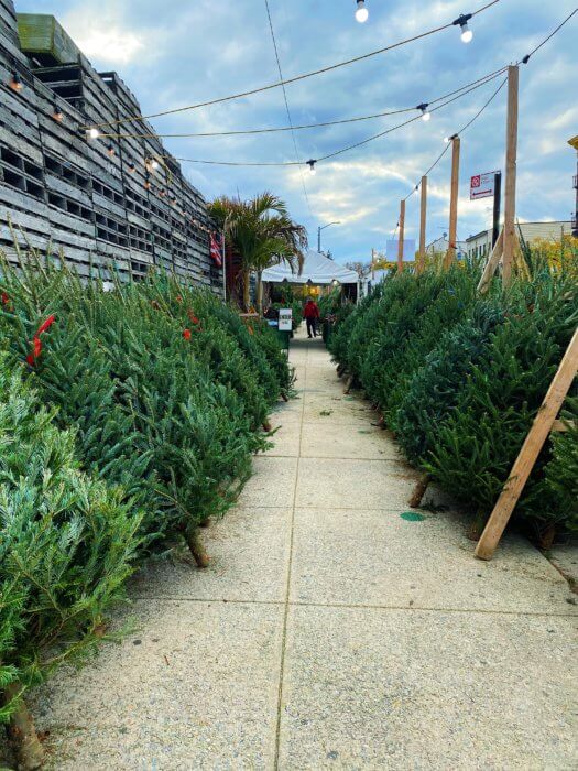 Here are some things to do in Manhattan from Nov. 18-26 2
