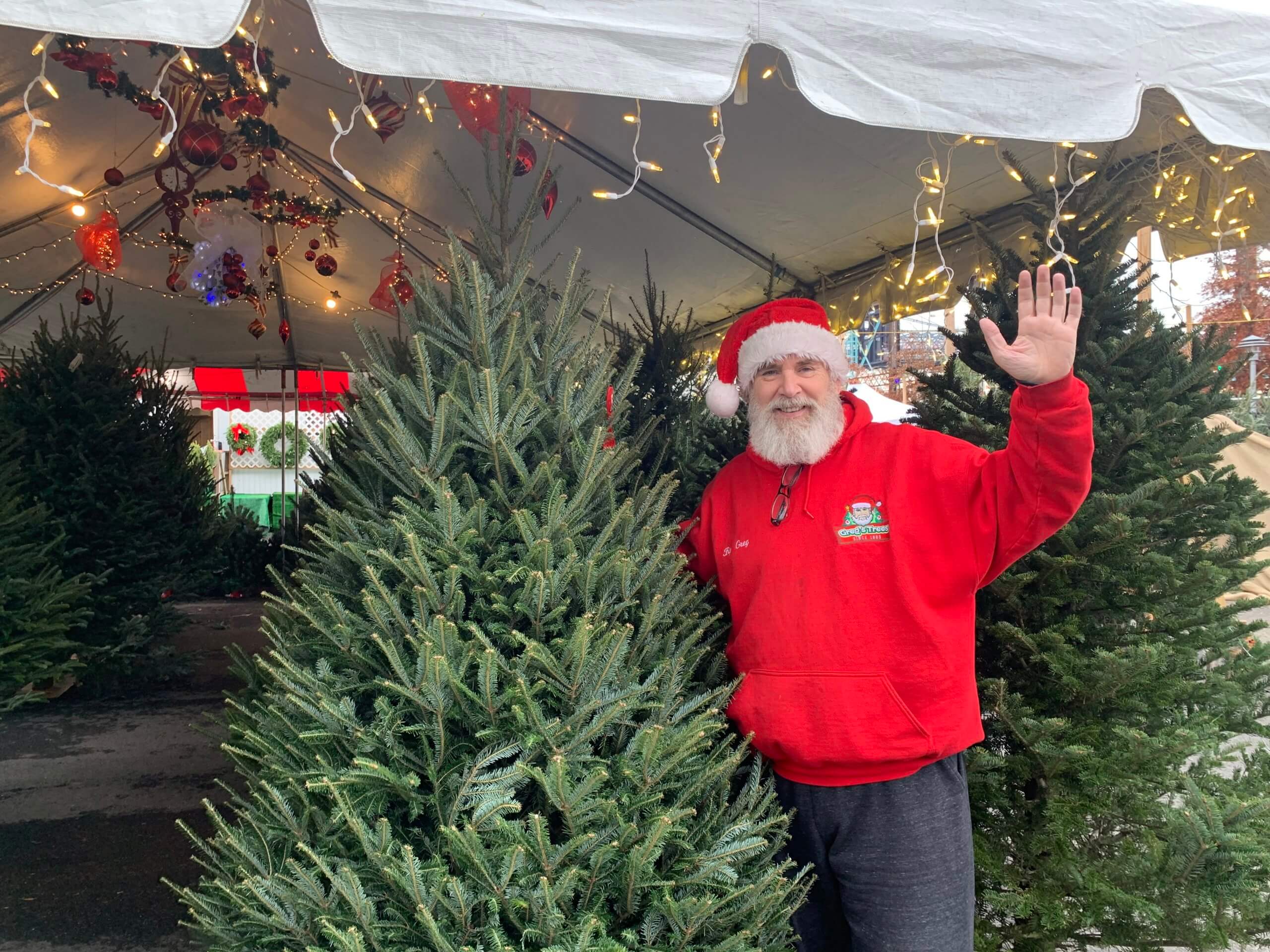 This Queens native runs some of the largest Christmas tree stands in New York City