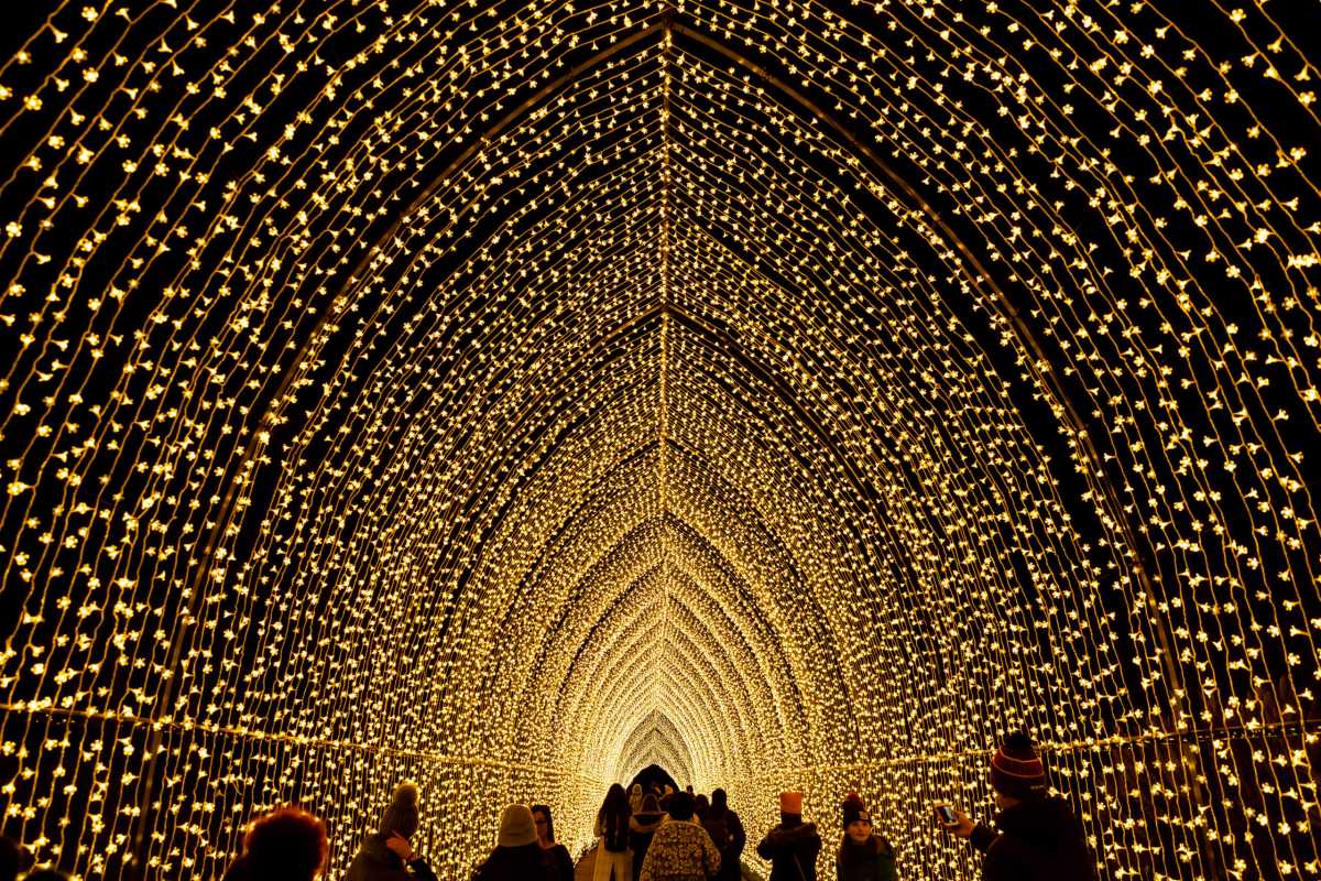 Winter Cathedral at Lightscape.