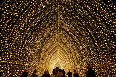 Winter Cathedral at Lightscape.