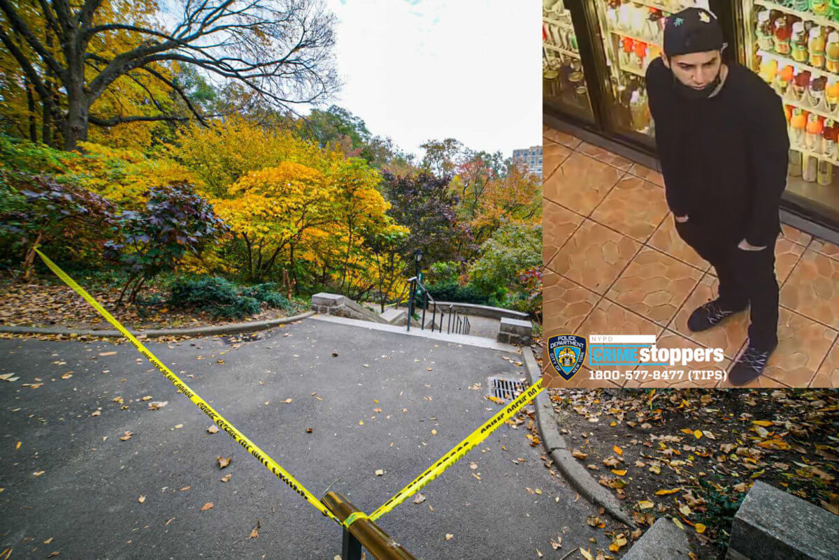 Homeless man cuffed in Chinatown in connection with violent Central Park rape case 1 centralparkrapesuspectswanlake
