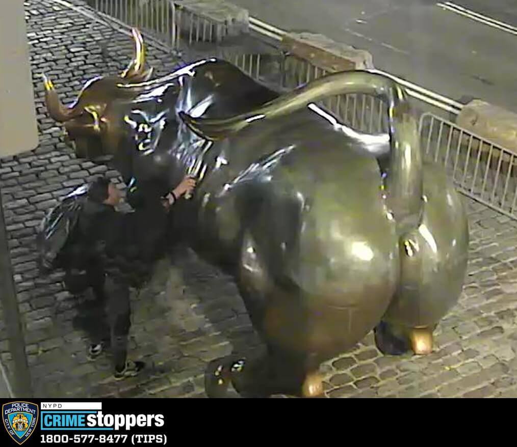 charging bull vandalism