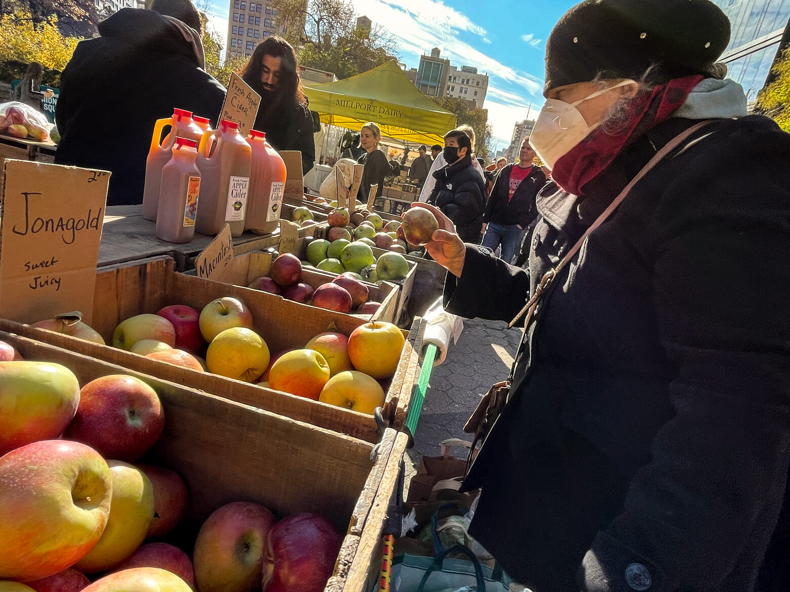 Late fall harvests, seasonal greenery and herb wreaths highlight Union Square Greenmarket 7
