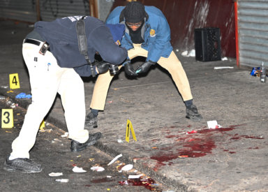 Bronx man shot dead