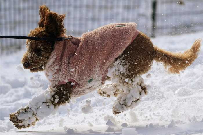 How to stay warm in NYC during a freeze: Tips for tackling heat issues, icy sidewalks and more 4