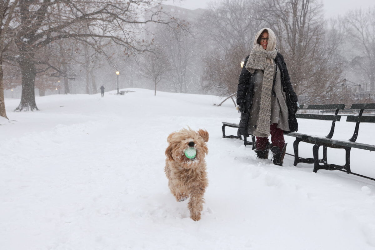 Nor’easter storm in New York