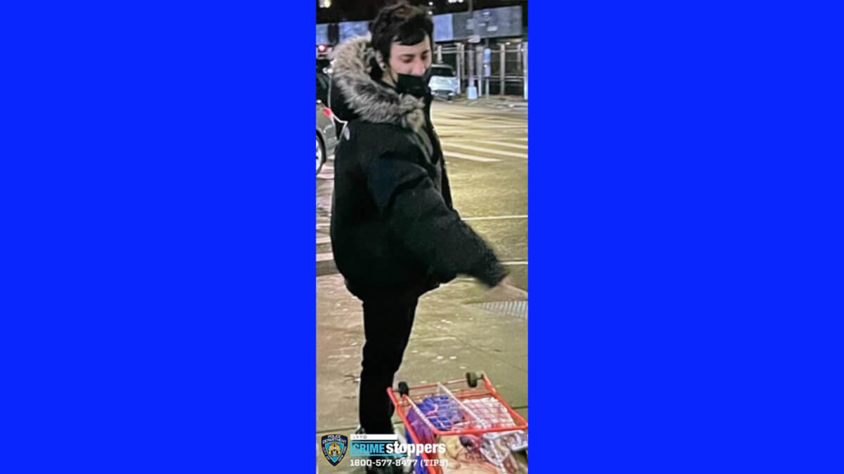Man sought for pushing 84-year-old woman to ground on Lower East Side street 1 7 pct assault