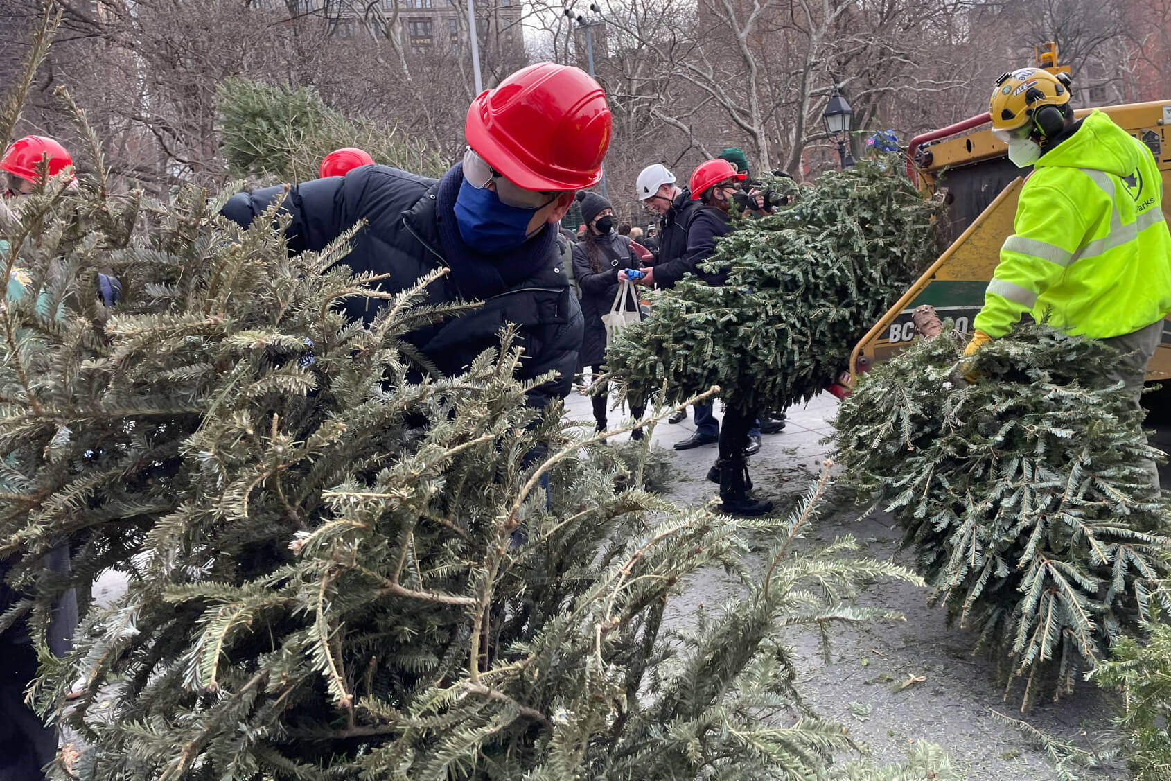Recycling through Mulchfest, another purpose for holiday trees