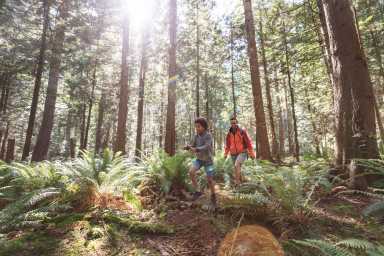 Mom and son hiking through a glade with ferns
