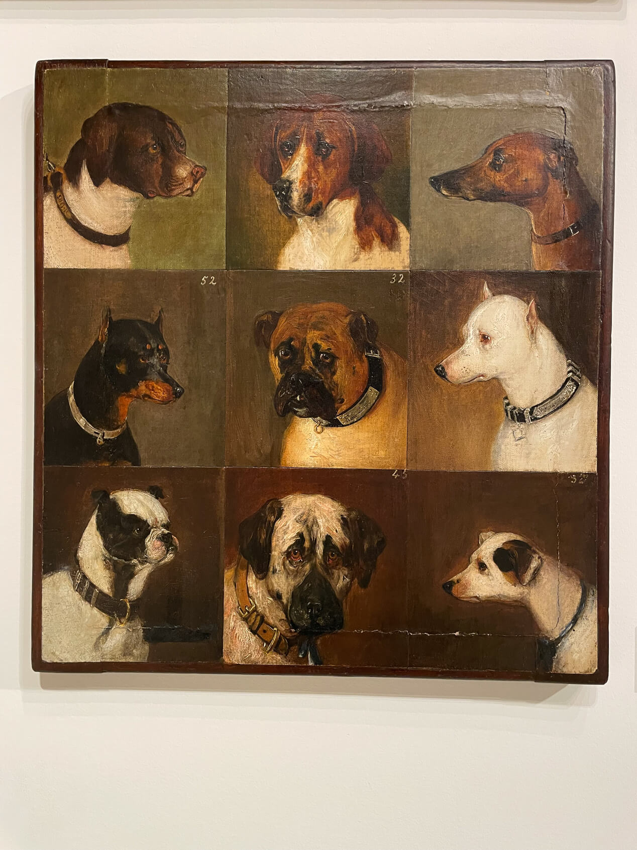 New Yorkers, their dogs and a visit to the museum 2