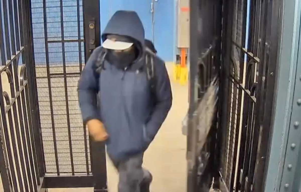 sunset park ambush