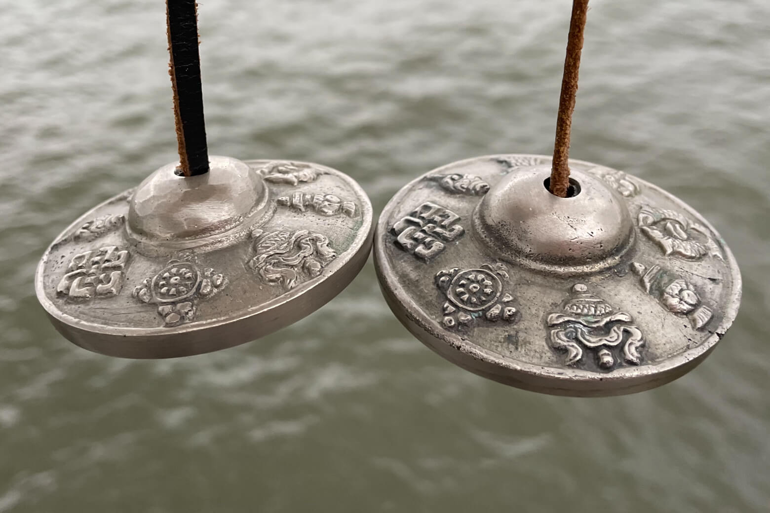 Celebrate the coming of spring at Hudson River Pier 46 3