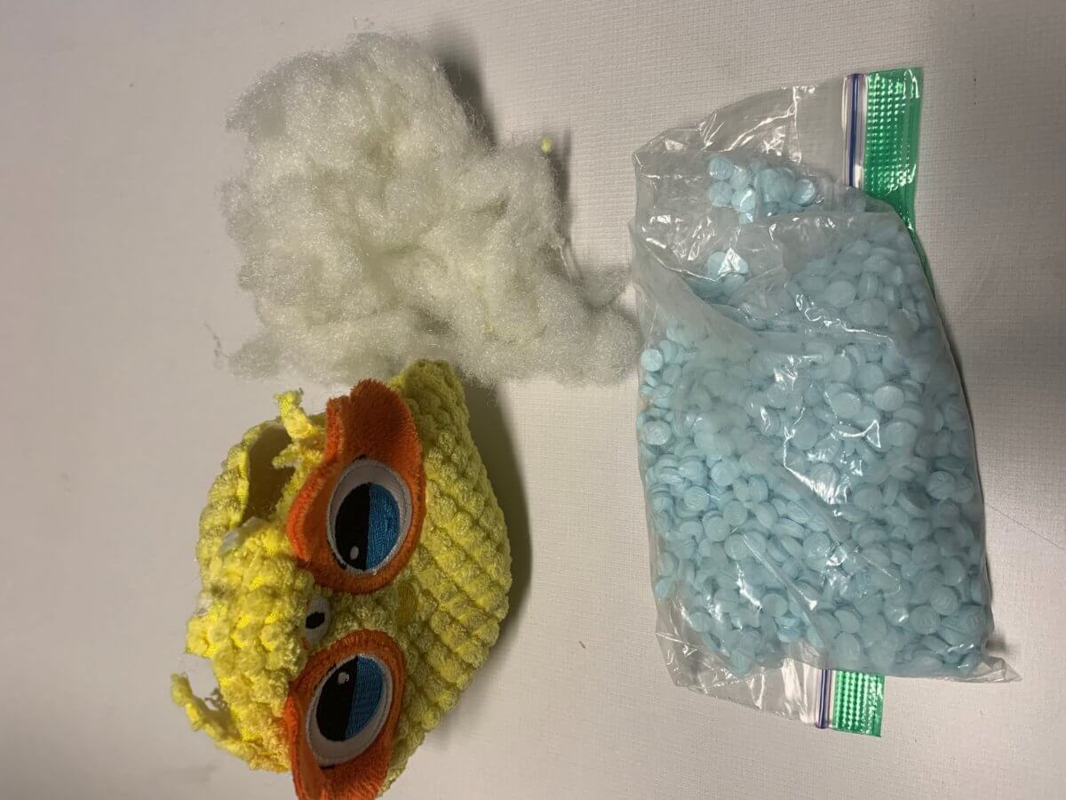 dog toy with counterfeit pills