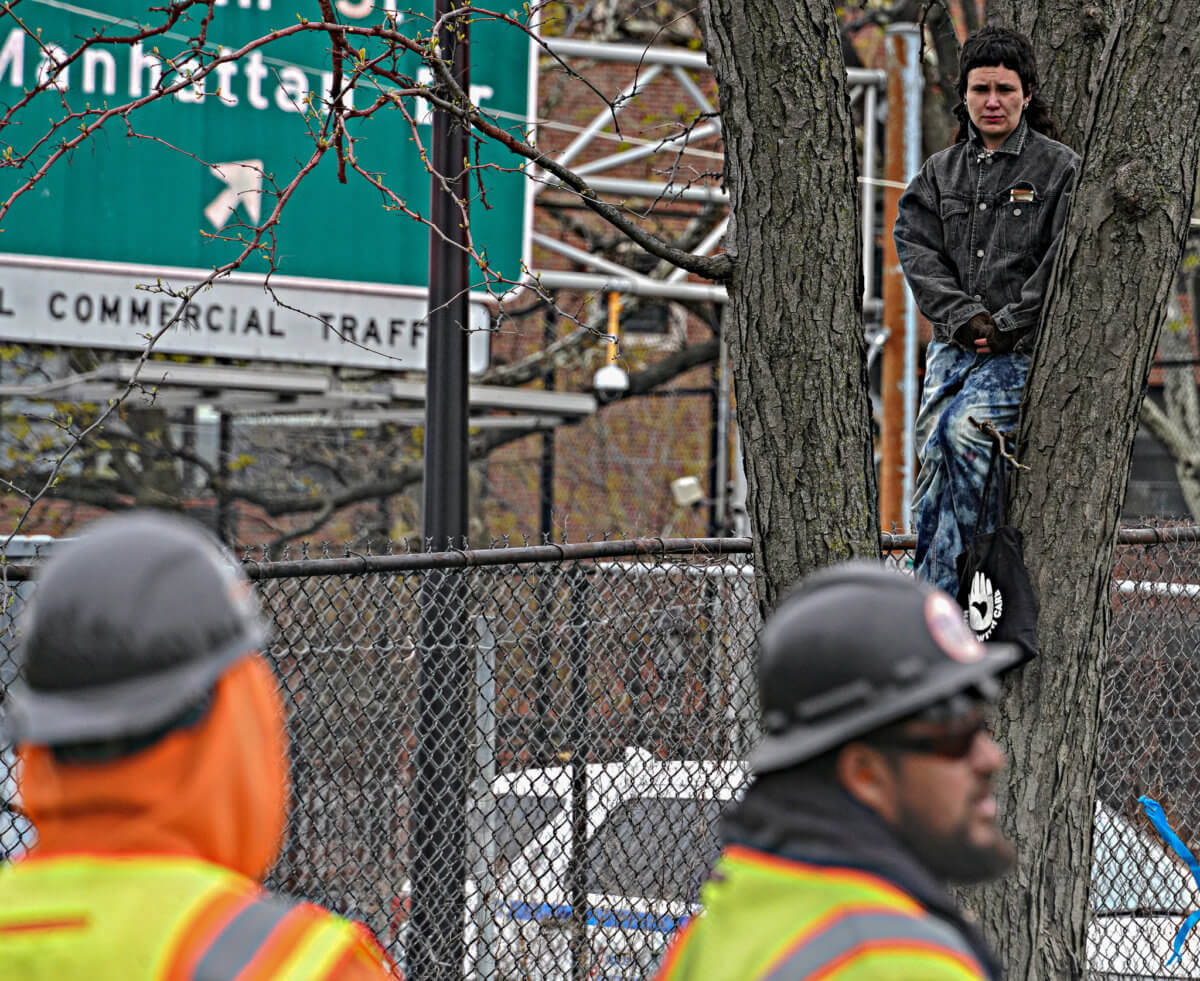 Barking up the wrong tree: Protester cuffed after attempting to halt East Side seawall project by climbing tree 6