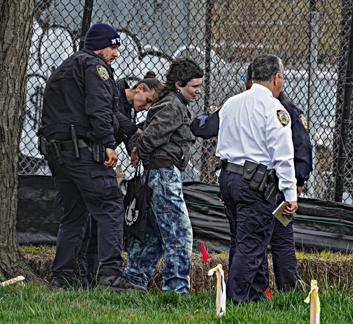 Barking up the wrong tree: Protester cuffed after attempting to halt East Side seawall project by climbing tree 9