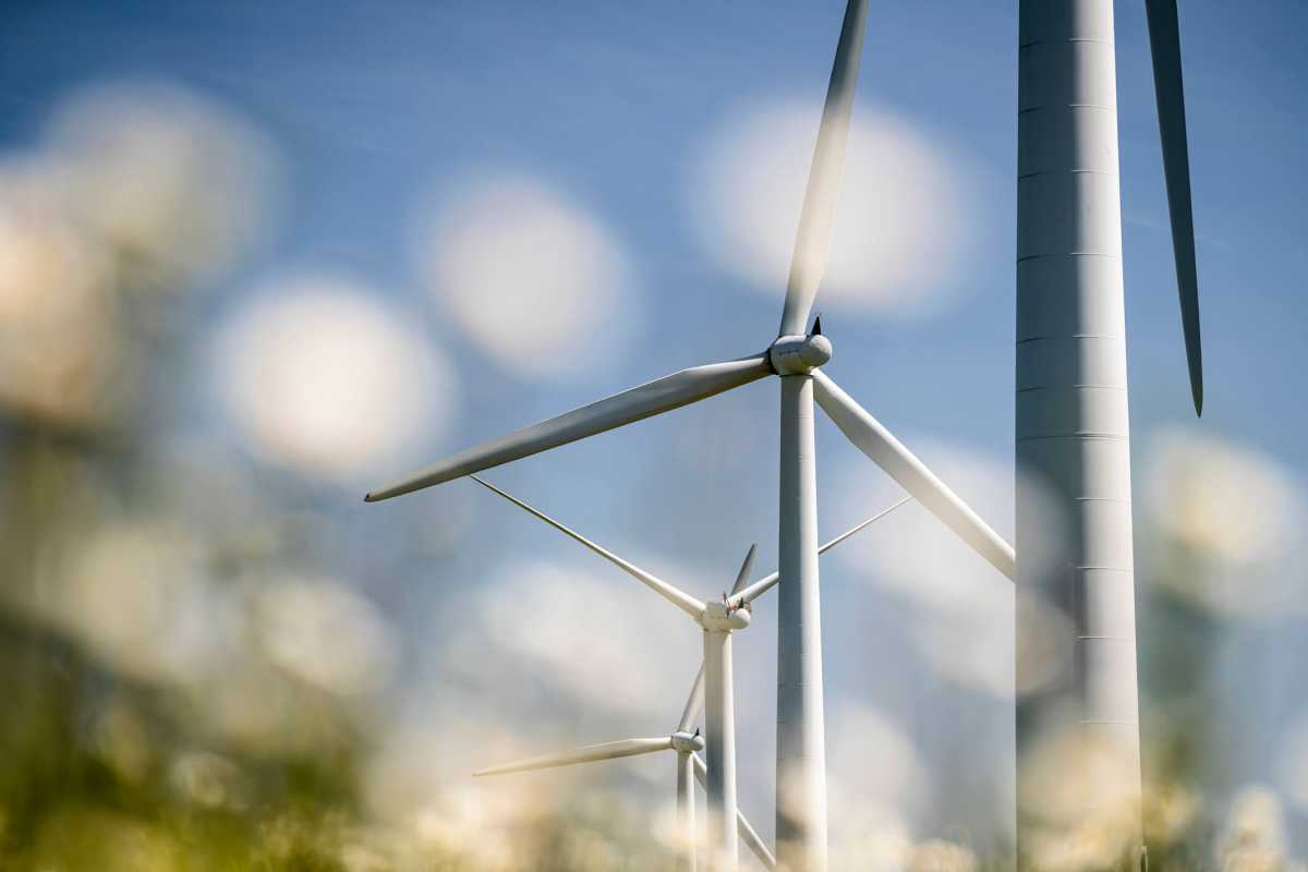 Wind turbine in a wild meadow