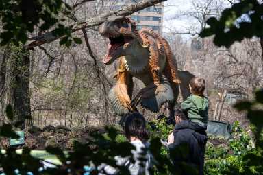 Dinosaur Safari at the Bronx Zoo!