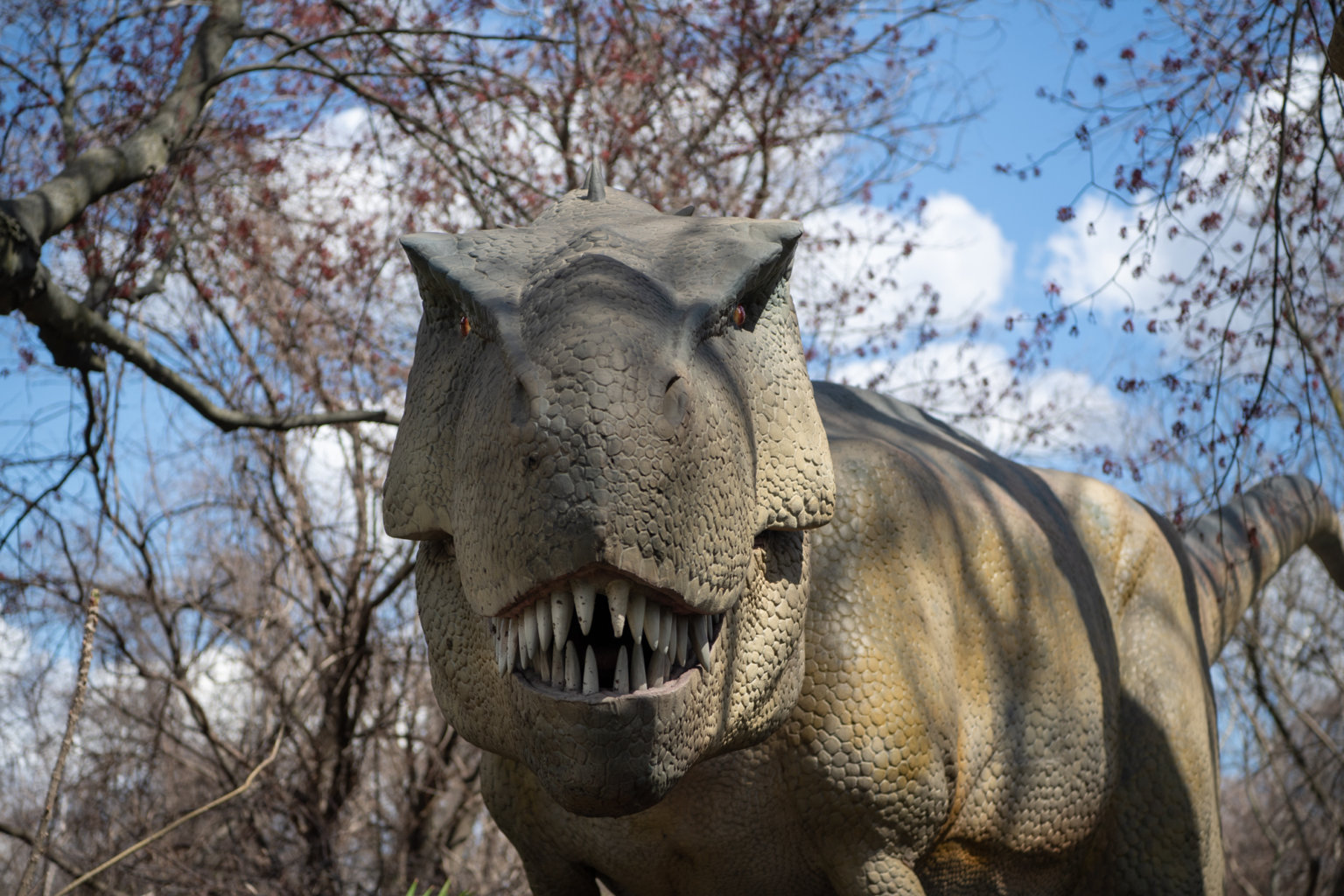 Bronx Zoo reopens immersive ‘Dinosaur Safari’ for the summer season