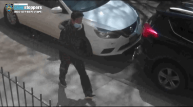 brooklyn stabbing