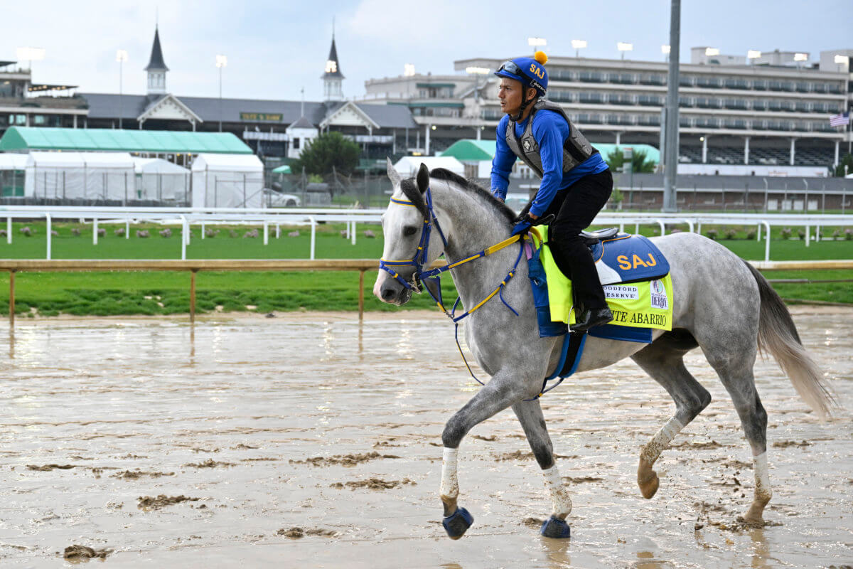 Horse Racing: 148th Kentucky Derby-Workouts