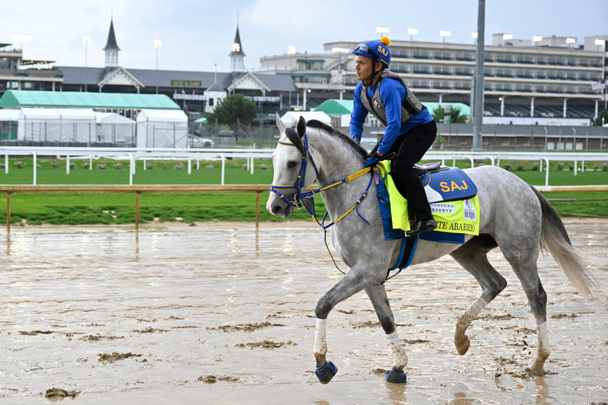 kentucky derby 2022 bet online