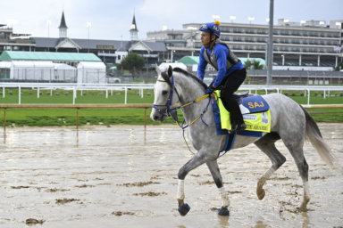 Horse Racing: 148th Kentucky Derby-Workouts