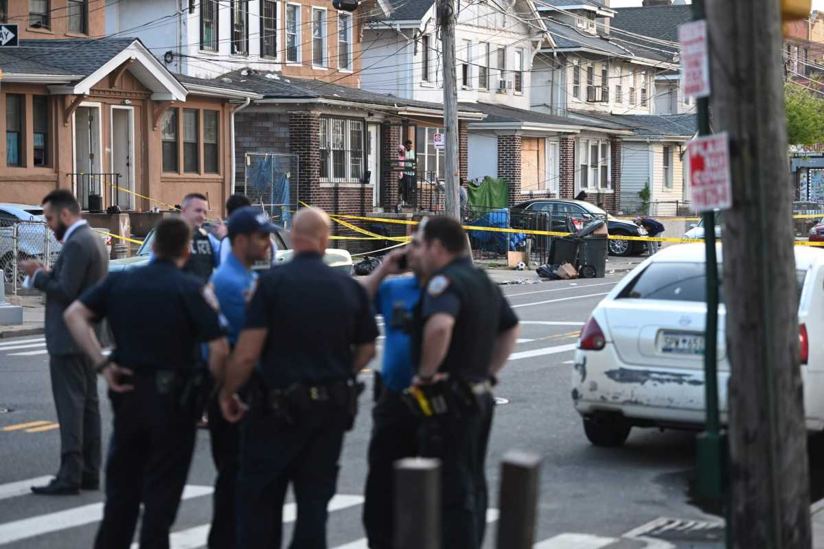 Brooklyn pit bull attack