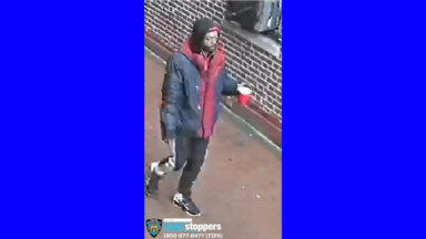 bronx attempted robbery assault