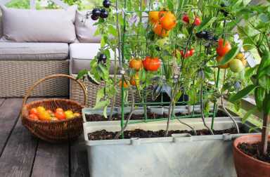 amNY Home Pros