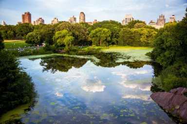 best places to enjoy nature in New York City