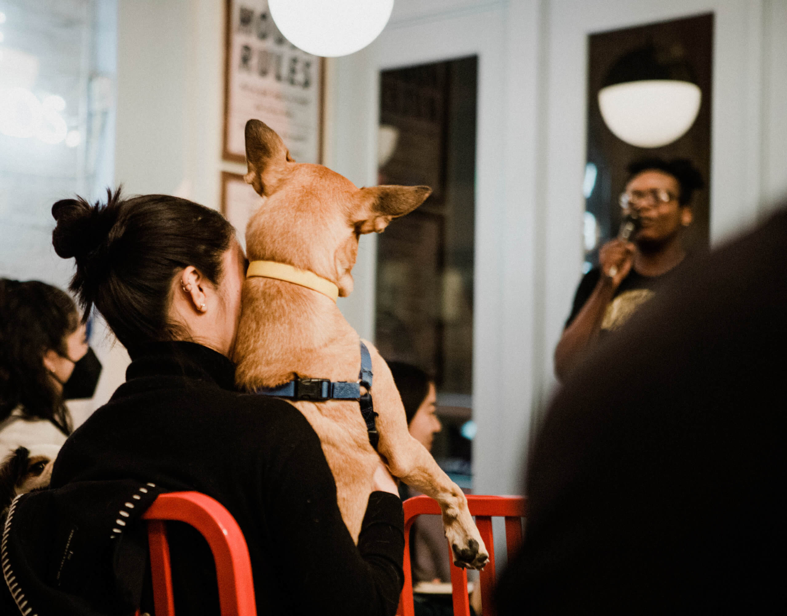 Must Love Dogs and Comedy brings dog-friendly live shows to New York City 5