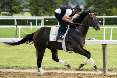 Rodolphe Brisset Belmont Stakes