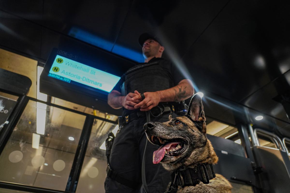 Police checking in Train