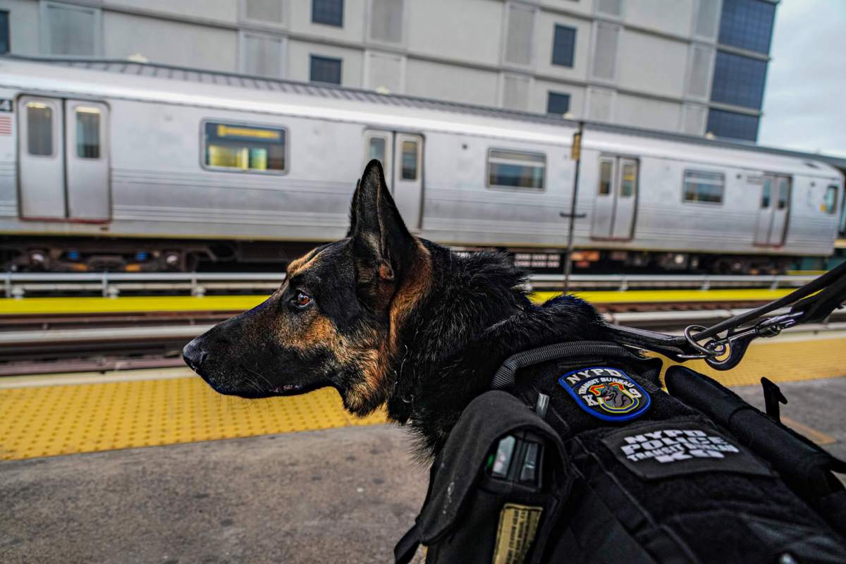 NYPD K9 Unit Unveils Advanced Technology