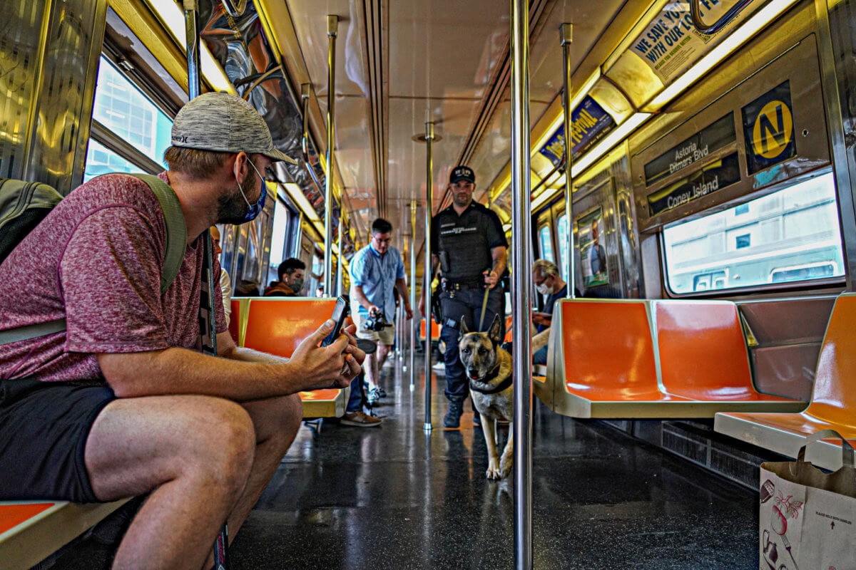 Exclusive: NYPD is TREDDing new ground with K-9 unit 7