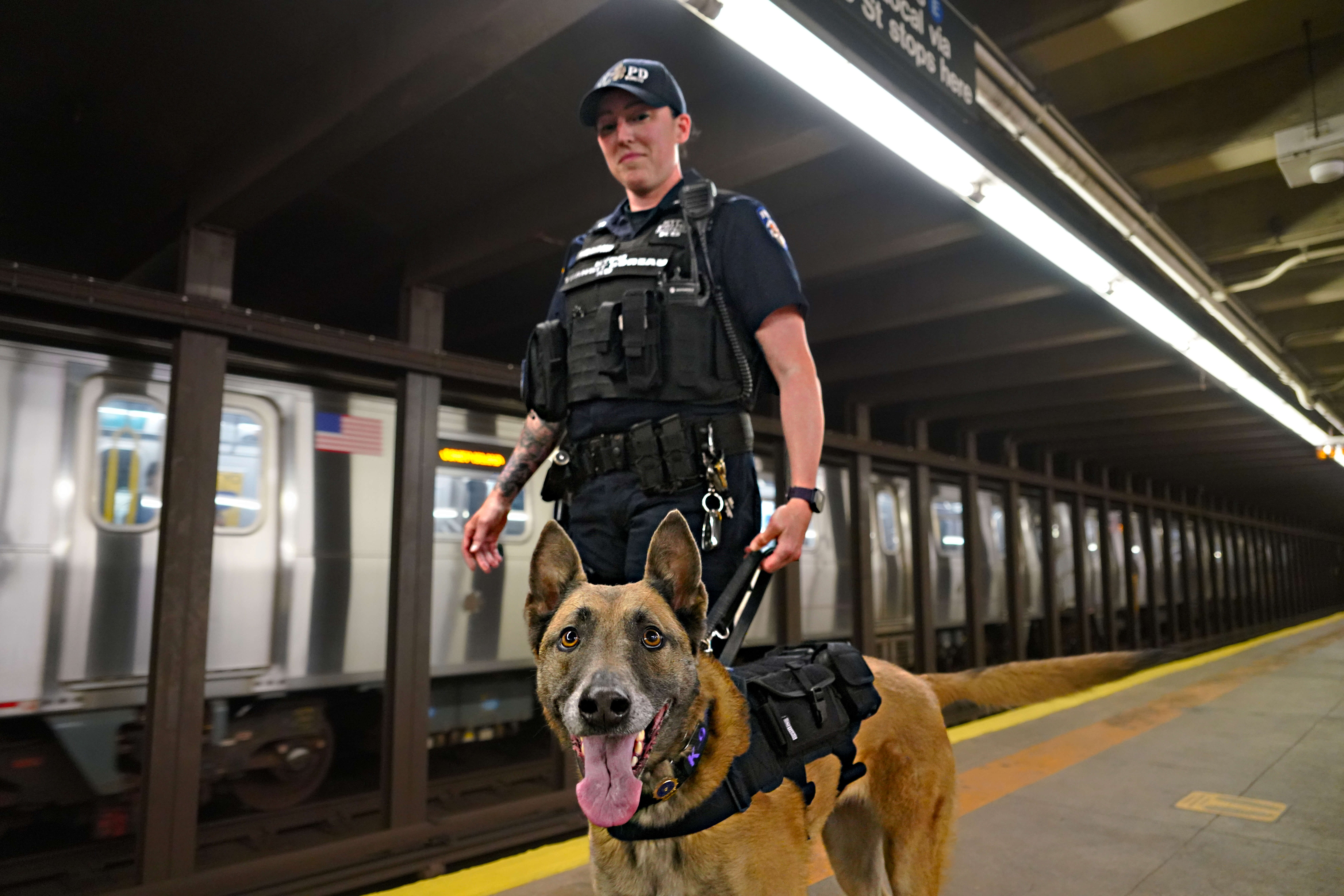 NYPD Transit Bureau CANINE パッチセット NEW YORK CITY POLICE