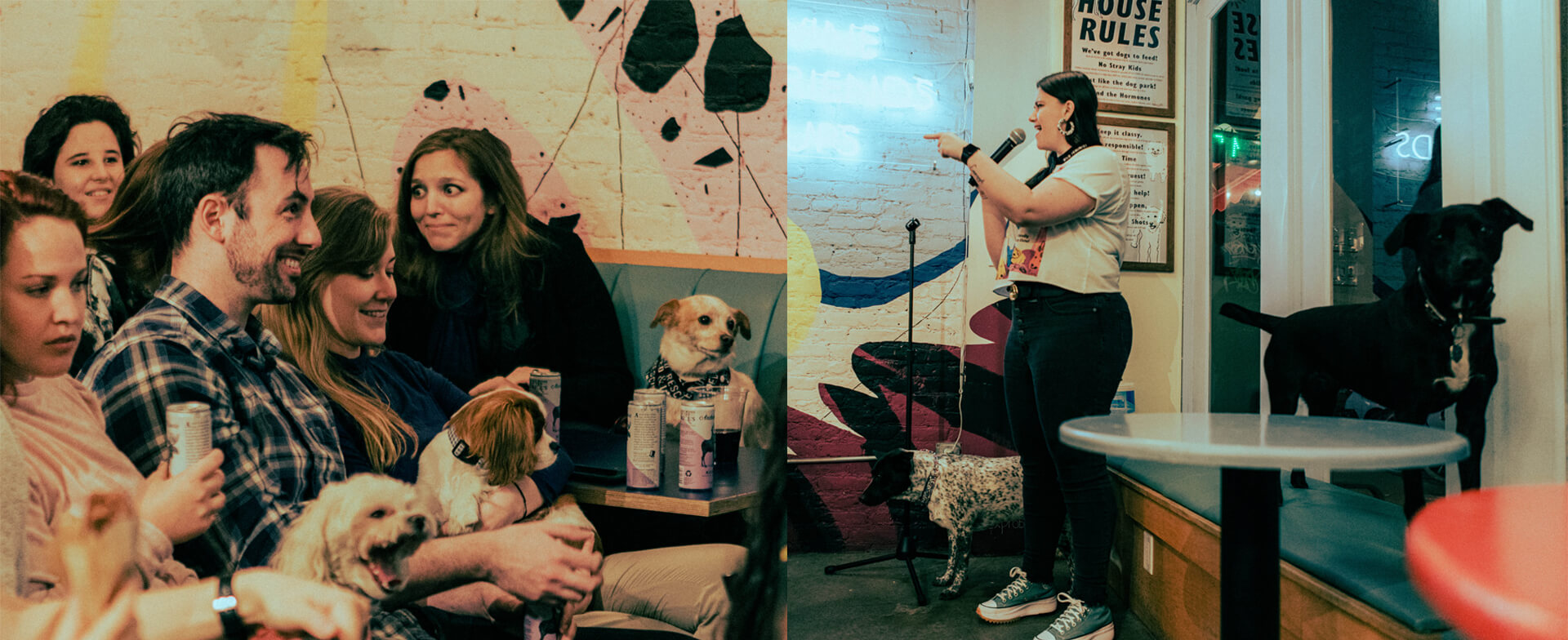 Must Love Dogs and Comedy brings dogfriendly live shows to New York