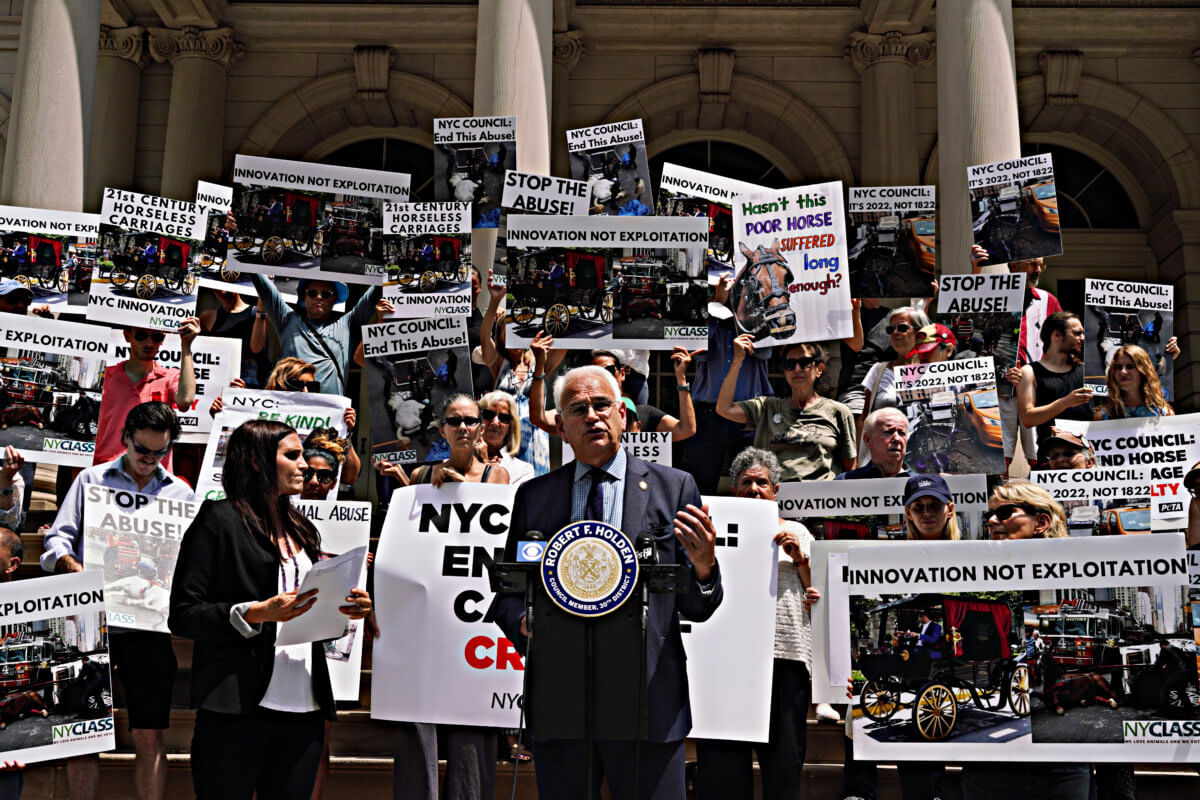 Queens Councilmember introduces legislation banning horse carriages 8