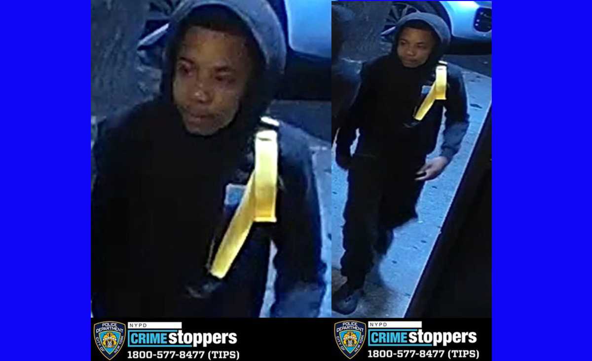 bronx shooter