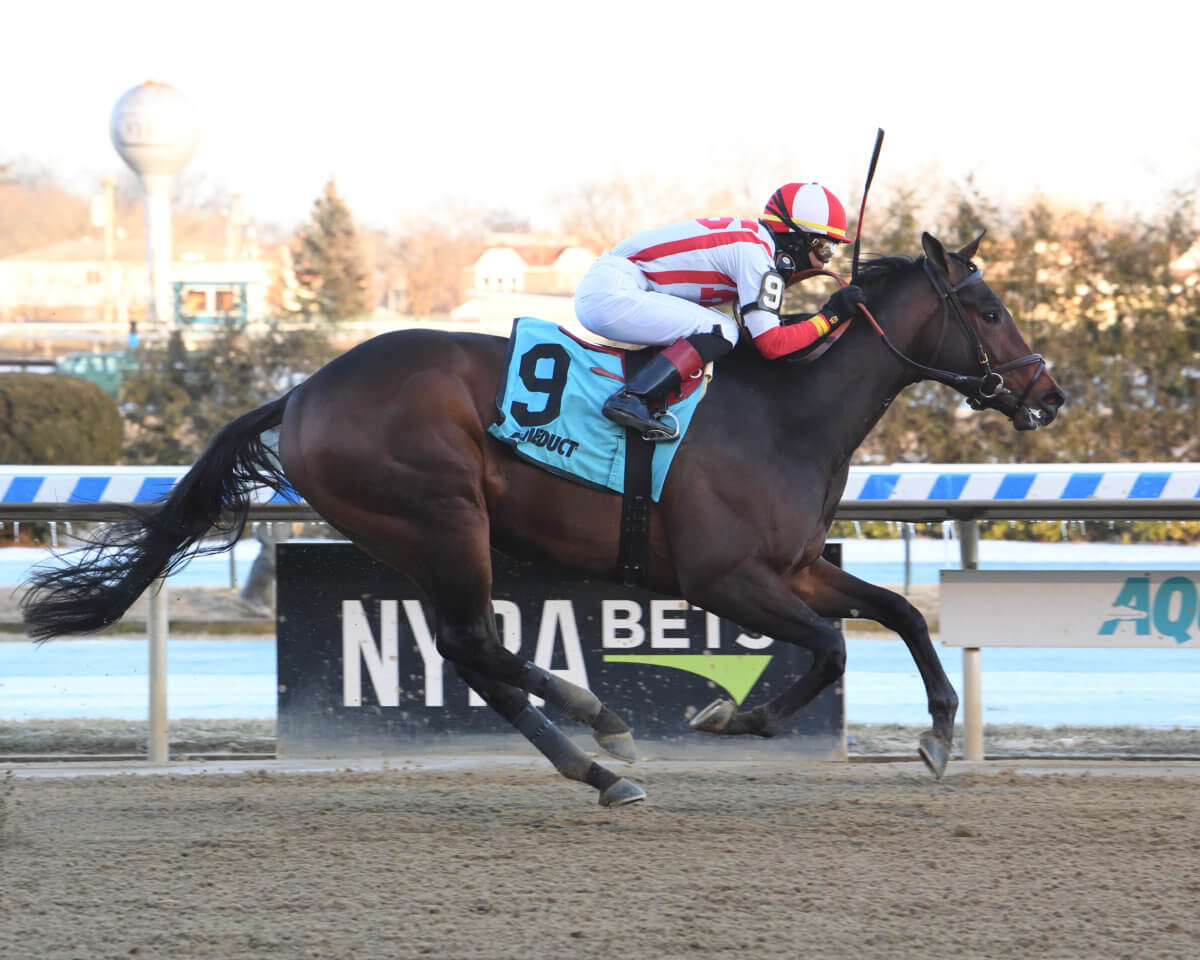 Early Voting set to run in the Jim Dandy Stakes