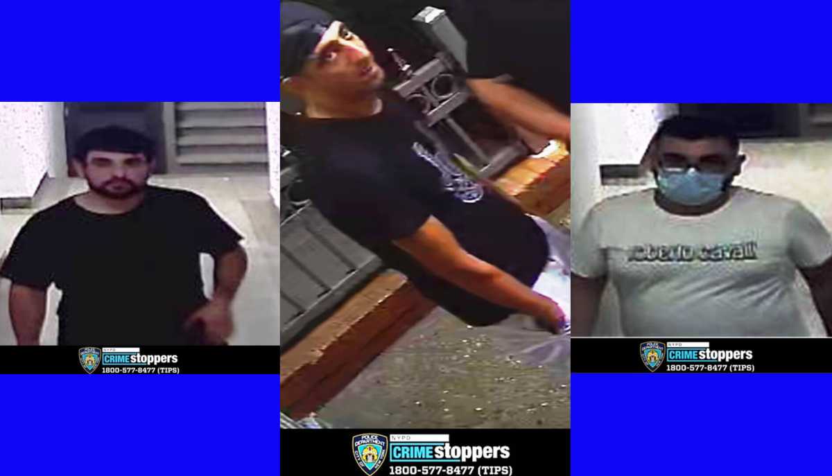 robbery sex assault brooklyn